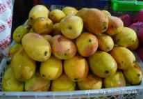 sárga mangó